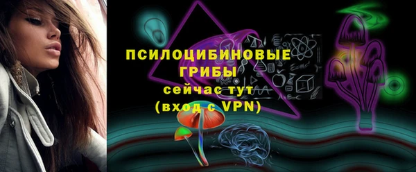индика Пересвет