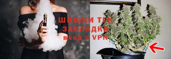 индика Пересвет