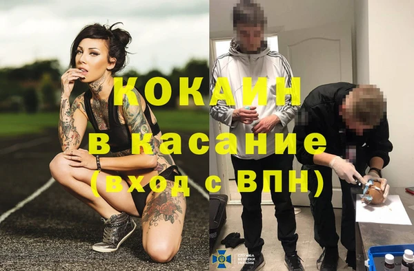 индика Пересвет