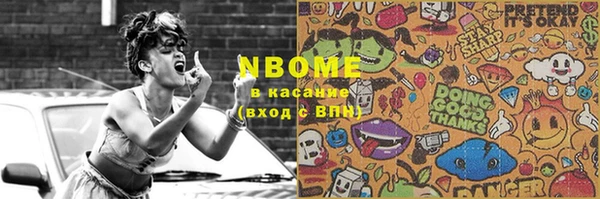 индика Пересвет