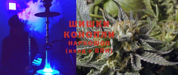 индика Пересвет
