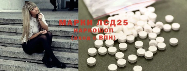 индика Пересвет