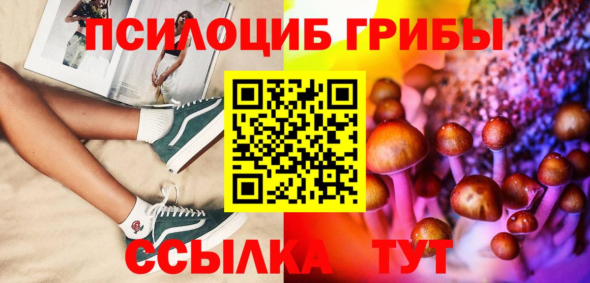 Северобайкальск  Галлюциногенные грибы Cubensis  Вход с VPN 