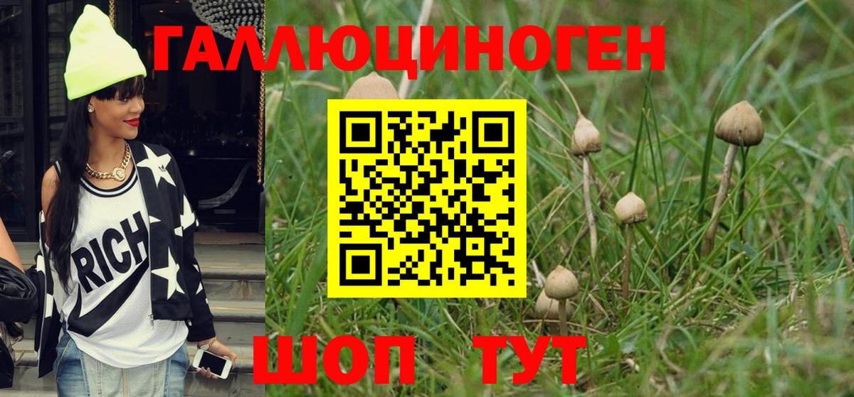 Галлюциногенные грибы Cubensis Северобайкальск