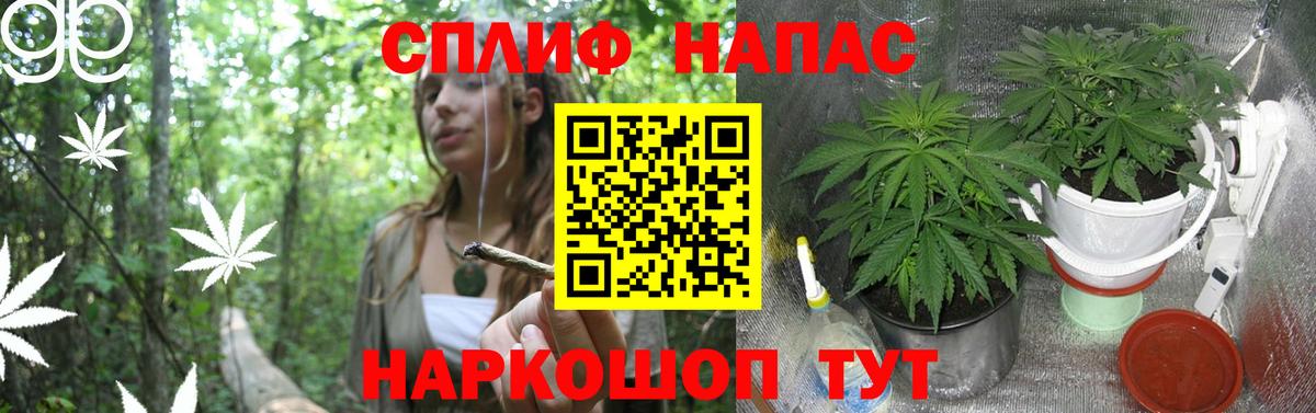 Бошки Шишки OG Kush  Конопля сатива  Северобайкальск  Бошки марихуана ГИДРОПОН  Конопля Bruce Banner 